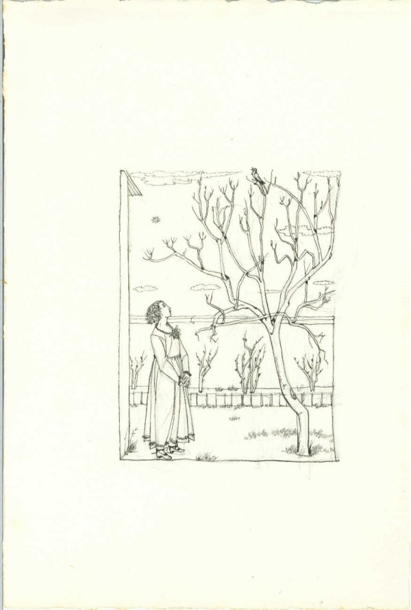 Francesco Carnevali n. 7