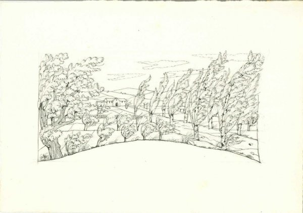 Francesco Carnevali n. 9