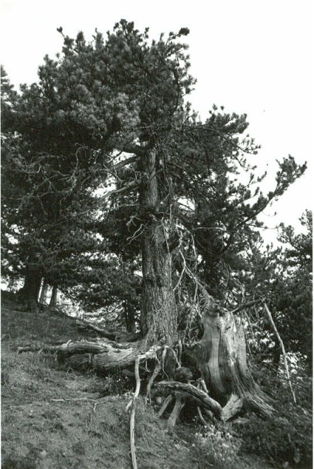 REFUGEE. Stati d'esilio | Epifanie [2011-2014] - 3