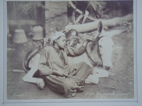 Zangaki n. 679 Charmeur des Serpents